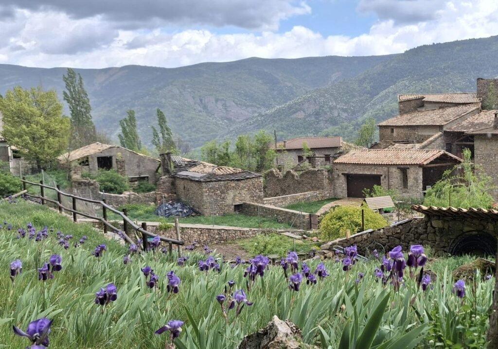 Terraza cubierta con mesa y sillas para comer al aire libre en la casa rural Casa Puixico